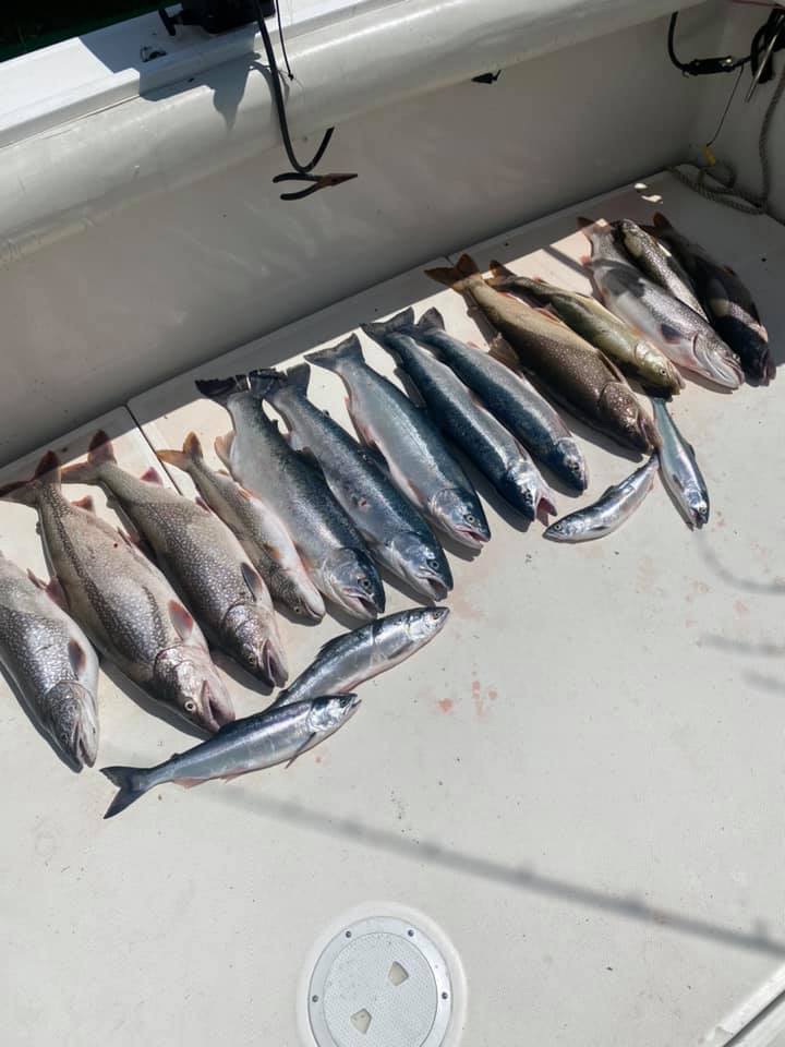 Charter Trip Thunder Bay Sunrise Side Alpena Boat Harbor Trout Catch Fish Knot