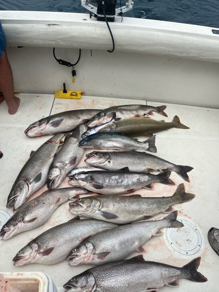 Charter Trip Thunder Bay Sunrise Side Alpena Boat Harbor Trout Catch Fish Knot