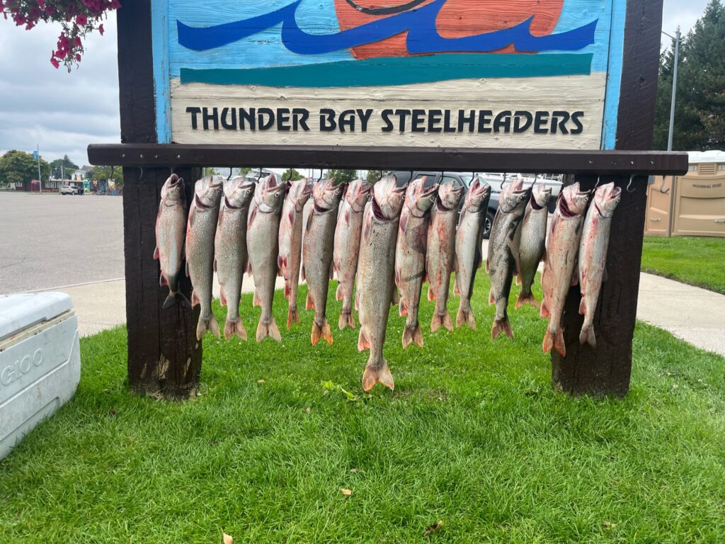 Charter Trip Thunder Bay Steelheaders Sunrise Side Alpena Boat Harbor Trout Catch Fish Knot